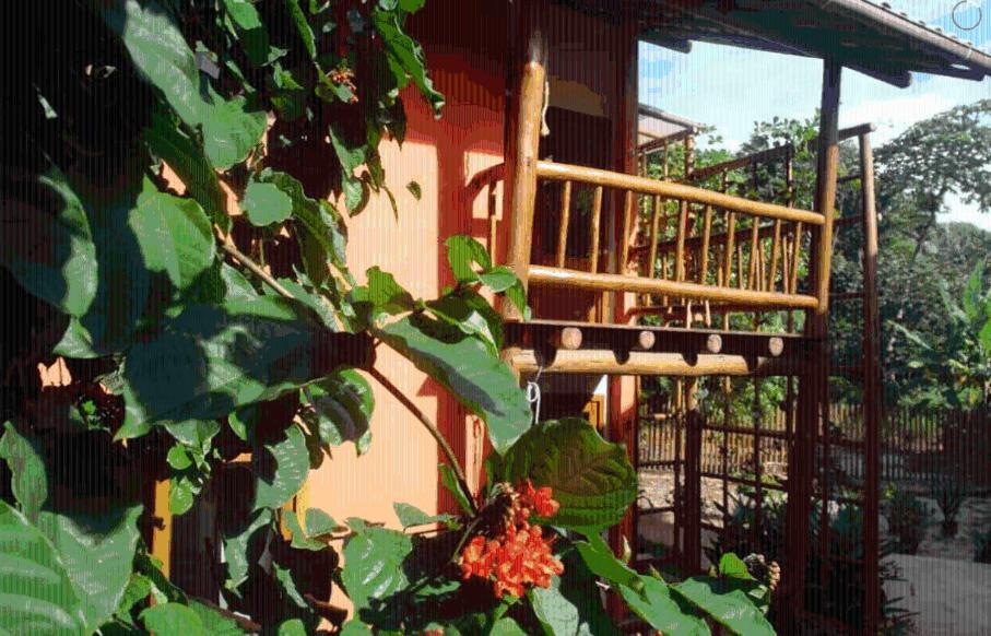 Appartement Concha Tropical Flat à Itacaré Extérieur photo