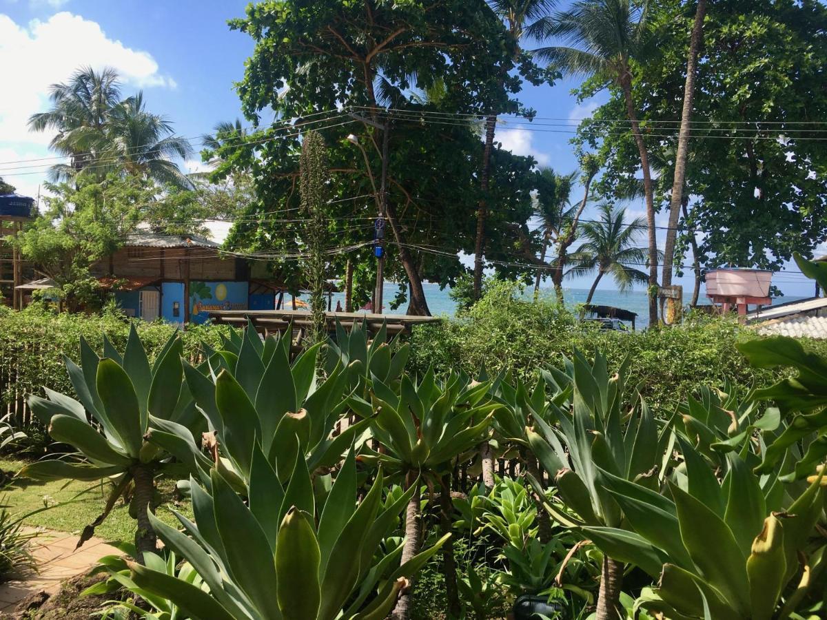 Appartement Concha Tropical Flat à Itacaré Extérieur photo